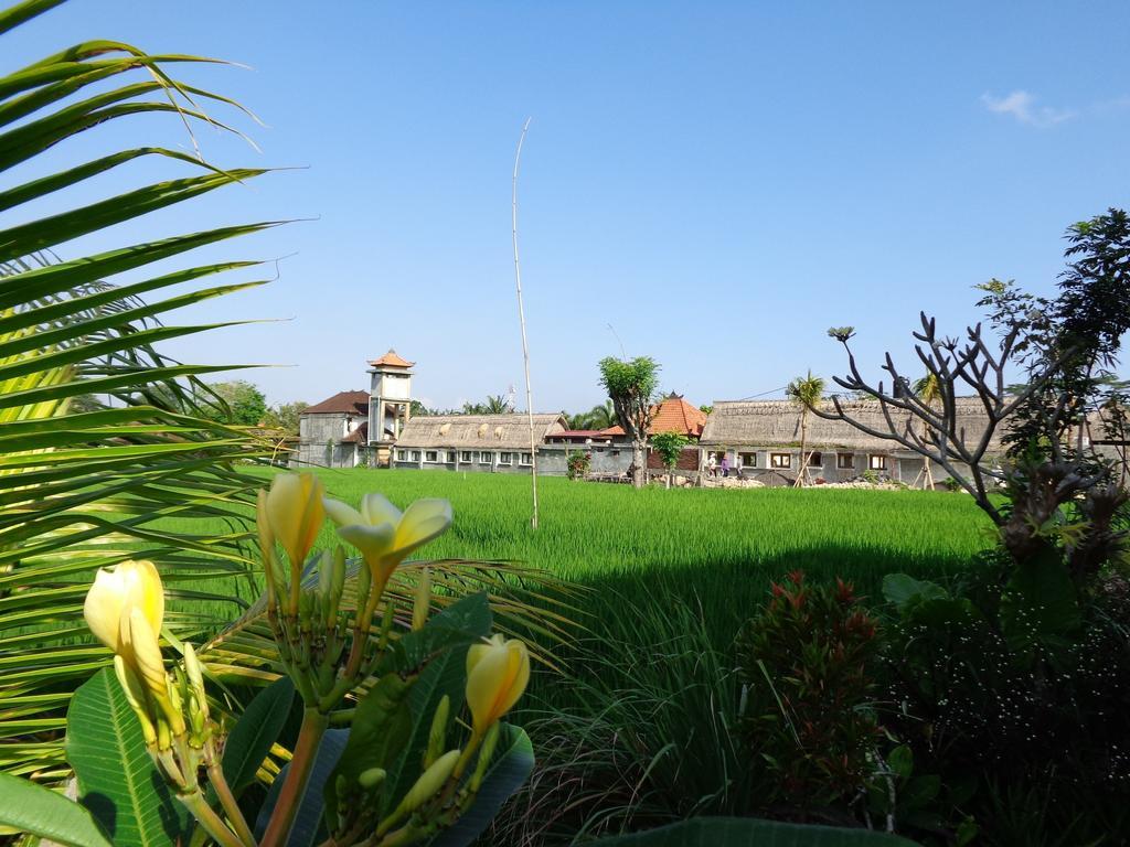 Bening Bungalow Ubud Exterior foto