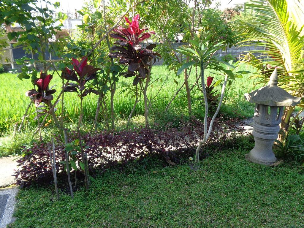 Bening Bungalow Ubud Exterior foto