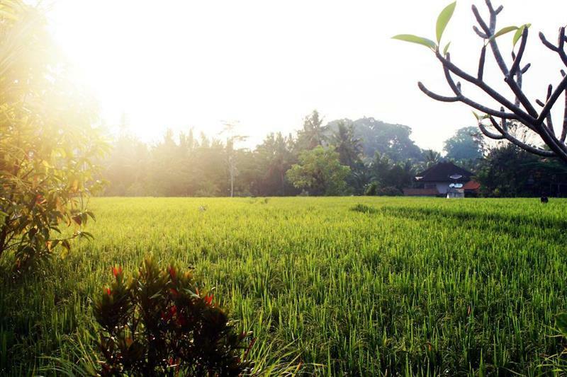 Bening Bungalow Ubud Exterior foto