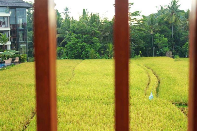 Bening Bungalow Ubud Exterior foto